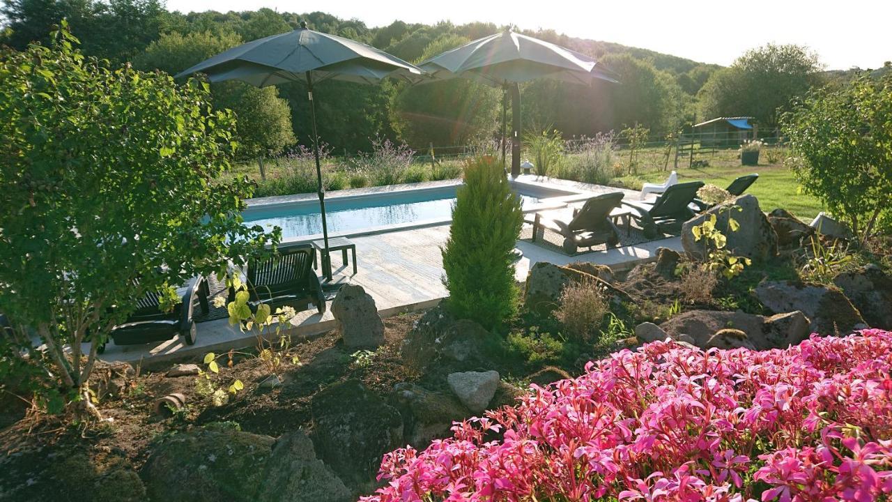 Domaine De La Jarrige Hotel Saint-Vaury Exterior foto